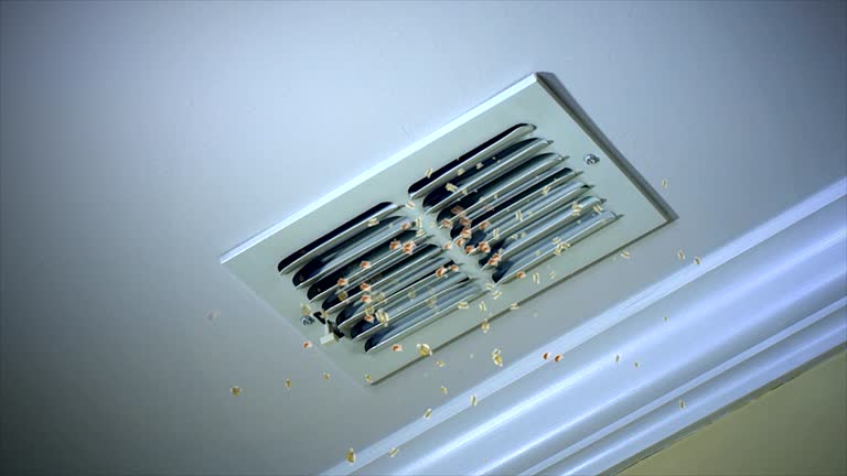 Best Home Air Vent Cleaning  in Cascade Locks, OR
