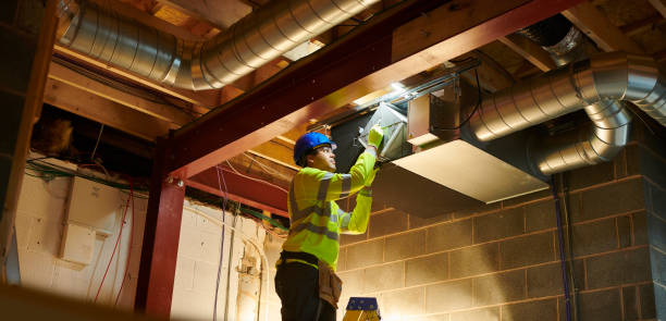 Best Air Duct Mold Removal  in Cascade Locks, OR