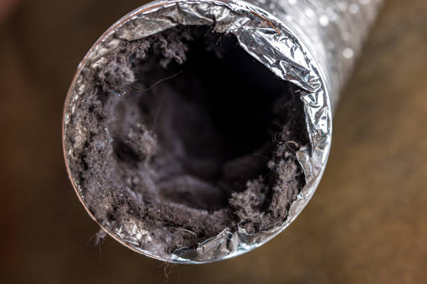 Best Air Vent Cleaning Services  in Cascade Locks, OR